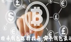 最优比特币钱包选择指南