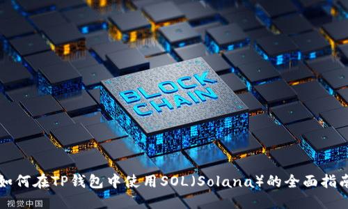 如何在TP钱包中使用SOL（Solana）的全面指南