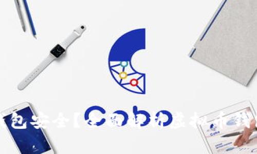 买虚拟币用什么钱包安全？全面解析虚拟币钱包的选择与安全性