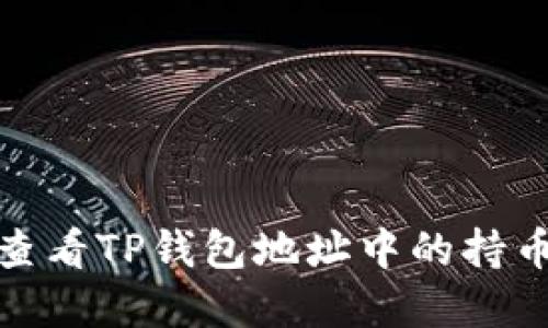 如何查看TP钱包地址中的持币情况