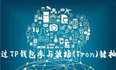 如何通过TP钱包参与波场